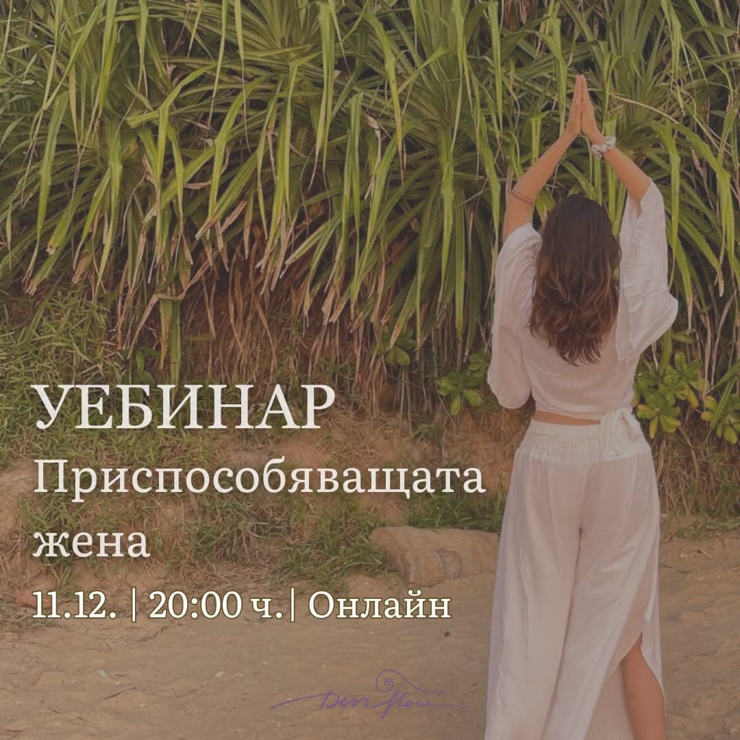 Приспособяващата (5-те адаптивни роли, част 5)